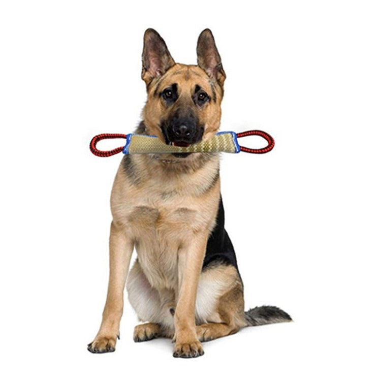 Hundetrainings & Kauspielzeug