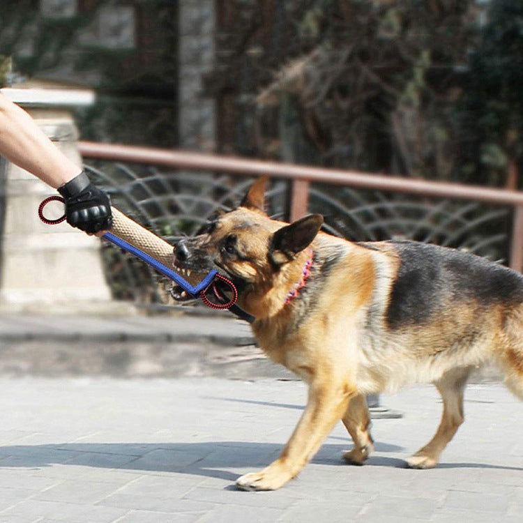 Hundetrainings & Kauspielzeug