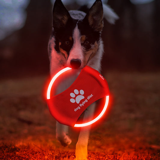 LED Leucht-Frisbee für Hunde